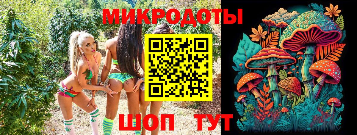 Галлюциногенные грибы ЛСД Новокубанск